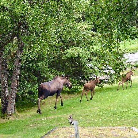 Halcyon Heights B&B/Inn Хомер Экстерьер фото