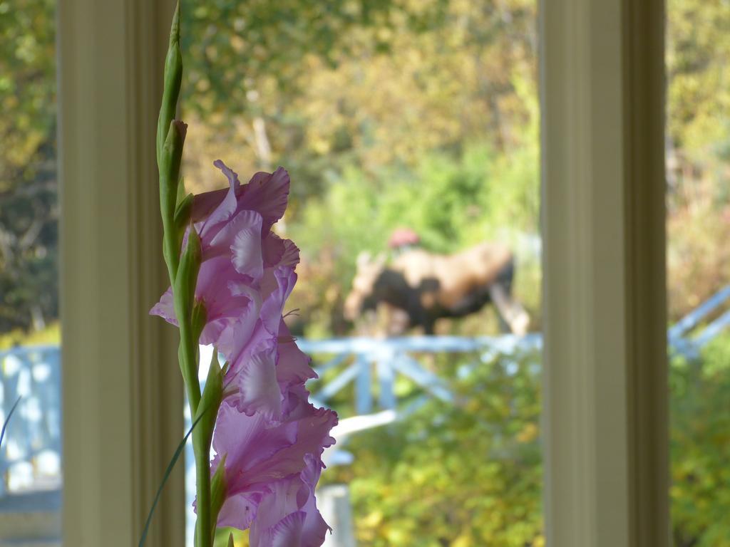 Halcyon Heights B&B/Inn Хомер Экстерьер фото